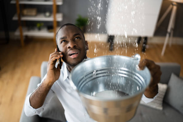 Best Water damage mitigation services  in Scottville, MI