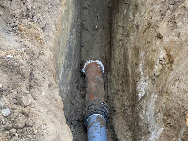 Best Sewage cleanup and water damage restoration  in Scottville, MI