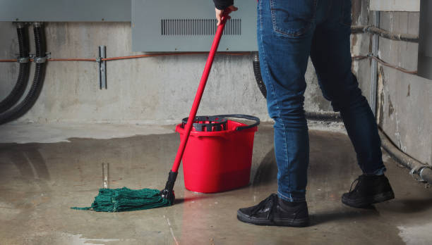 Best Local water damage restoration  in Scottville, MI