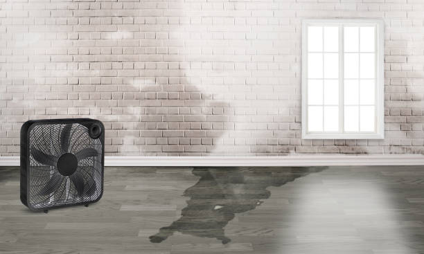 Carpet water damage restoration in Scottville, MI