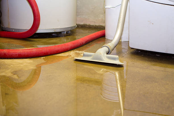 Scottville, MI Water damage restoration Company