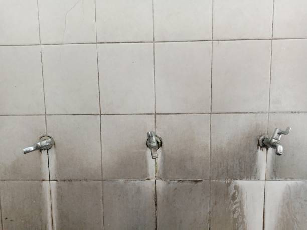  Scottville, MI Water damage restoration Pros