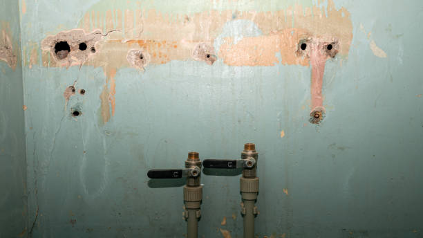 Best Water damage restoration company  in Scottville, MI