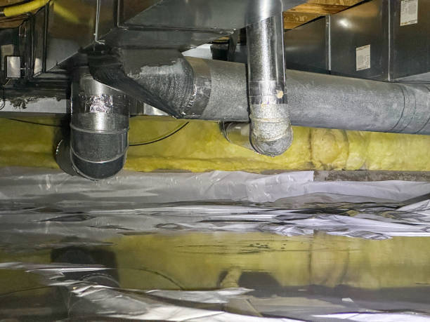 Best Flood damage cleanup  in Scottville, MI