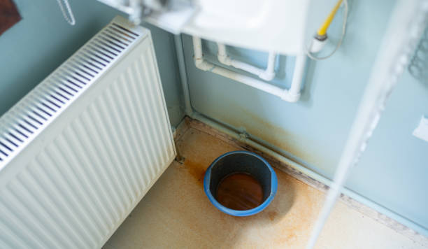 Best Flood damage cleanup  in Scottville, MI