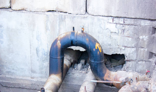 Best Water damage restoration process  in Scottville, MI